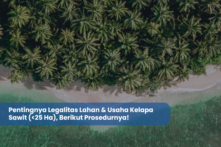 Pentingnya Legalitas Lahan Kelapa Sawit (