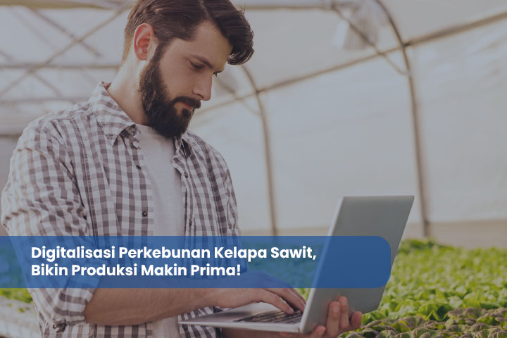 Digitalisasi Perkebunan Kelapa Sawit, Bikin Produksi Makin Prima!