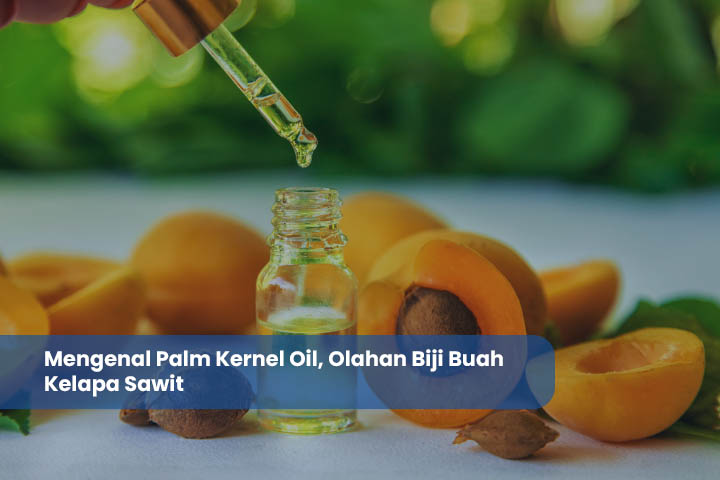 Palm Kernel Oil