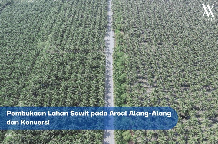 Pembukaan Lahan Sawit pada Areal Alang-Alang dan Konversi