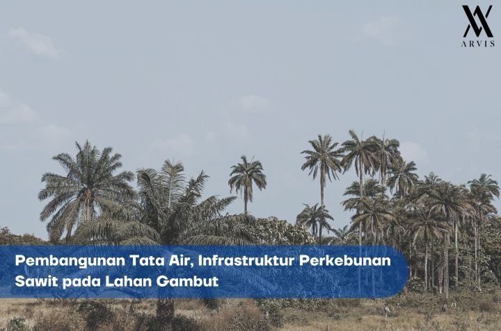 Pembangunan Tata Air di Lahan Gambut