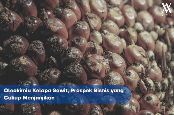 Oleokimia Kelapa Sawit