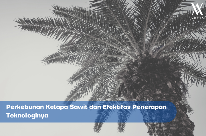 Perkebunan Kelapa Sawit dan Efektifitas Teknologinya